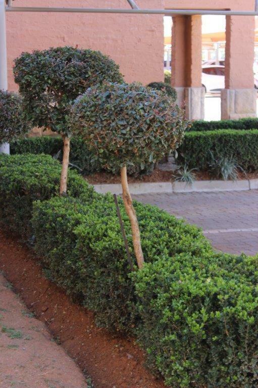 Apartamento Reliwave Pty Ltd Bloemfontein Exterior foto